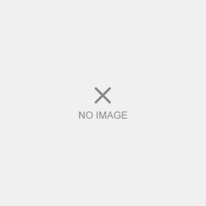 GUCCI GG Canvas Handbag